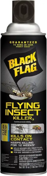 Black Flag Flying Insect Killer Spray Can Export